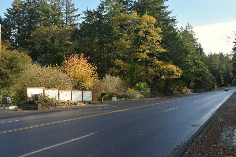 Tree-lined residential street in Bothell, WA where root intrusion affects older drain lines